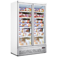 Mitchel PG960-F 2 Glass Door Freezer
