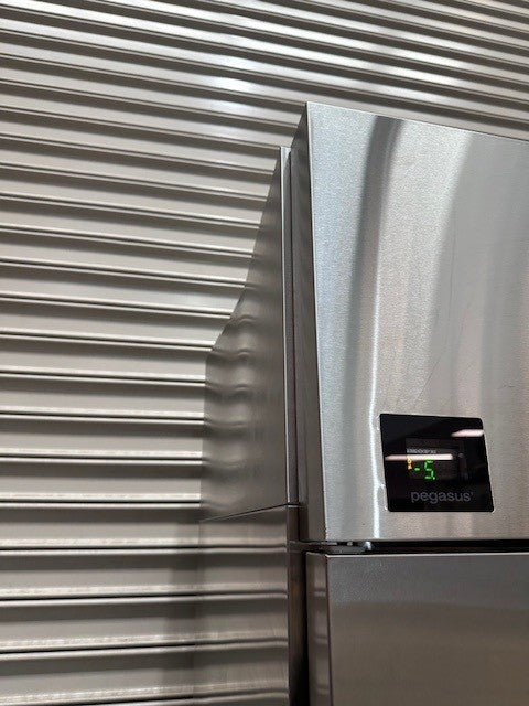 Skope PG100 Peagasus Upright Freezer