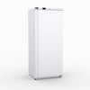AG Equipment R600V - Upright Fridge