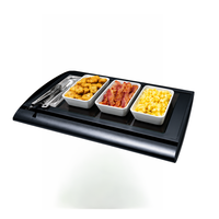 Hatco SRG-1 Portable Buffet Warmer