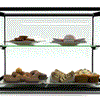 Sayl ADS0010 - Ambient Display