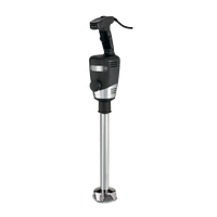 Waring Big Stik WSB55CE - Stick Blender